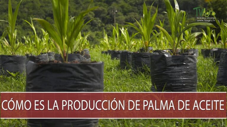 Maximiza la Productividad en Viveros Industriales con Productos Efectivos