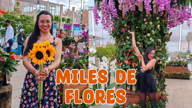 Innovaciones en Productos para Viveros