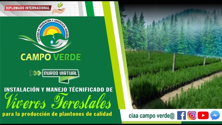 Cultivo Efectivo de Plantas en Viveros con Herramientas Profesionales