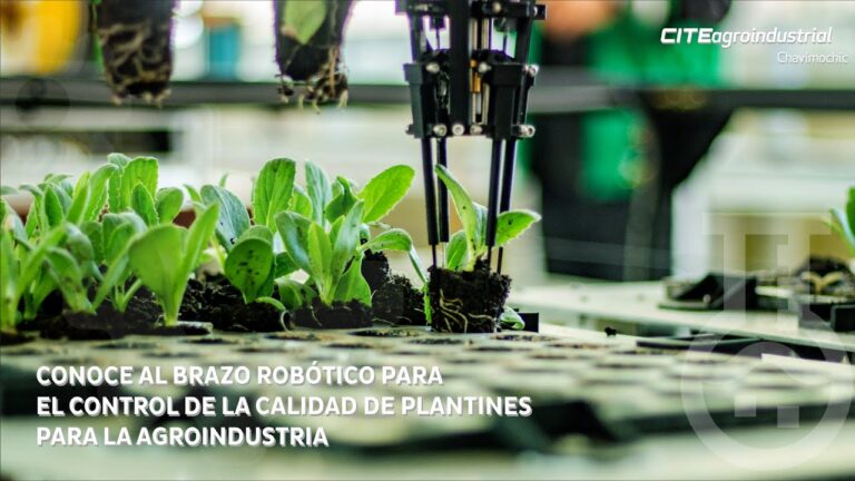 Optimizaci&oacute;n del Etiquetado de Productos en Viveros Industriales