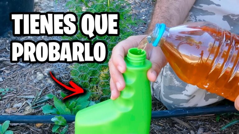 Estrategias Efectivas de Insecticidas y Pesticidas en Viveros y Jardiner&iacute;a Profesional