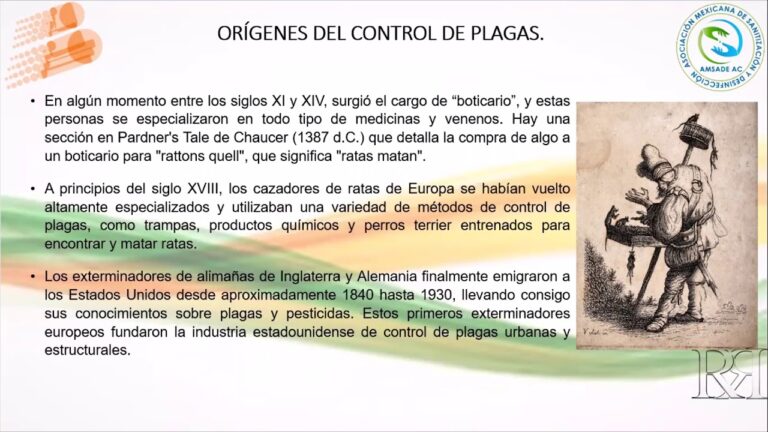 Sostenibilidad en Viveros Industriales: Uso de Productos Especializados