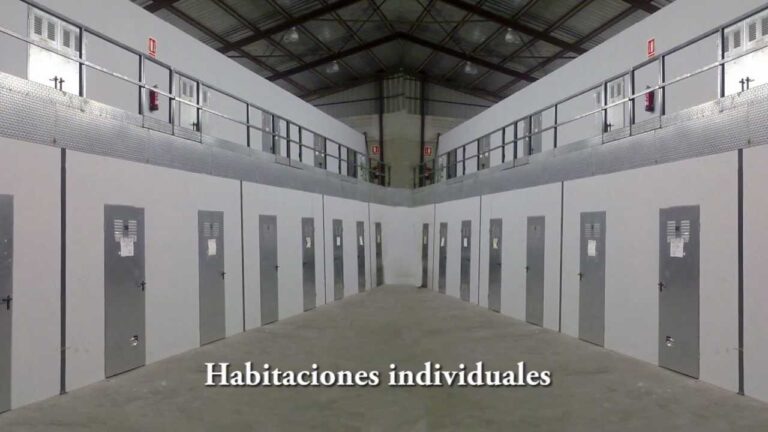 Optimizaci&oacute;n de la Eficiencia en el Transporte de Cargas con Gr&uacute;as M&oacute;viles y Equipos Especializados