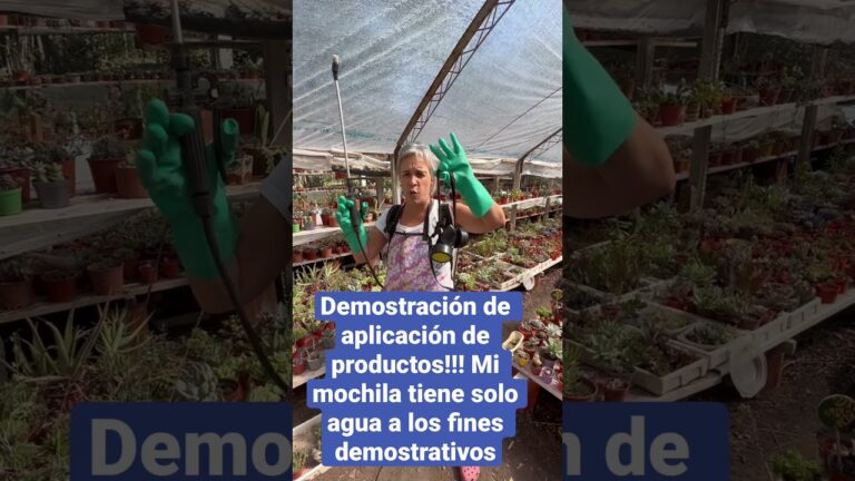 Soluciones Efectivas para el Control de Plagas en Jardiner&iacute;a Profesional