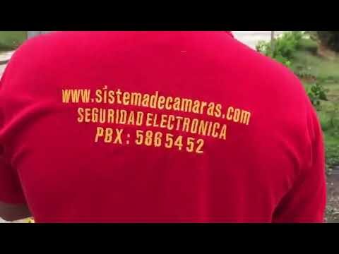 Innovaciones en Tecnolog&iacute;as de Vanguardia para Gr&uacute;as Porta-Coches