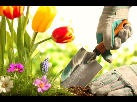 Gu&iacute;a de Productos Especializados para Jardiner&iacute;a Profesional