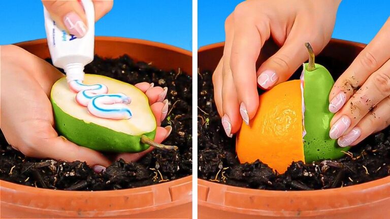 Innovaci&oacute;n en Productos para Potenciar el Crecimiento de Plantas