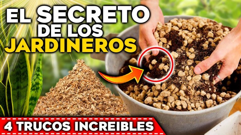 Consejos de Expertos para Viveros y Jardiner&iacute;a Profesional
