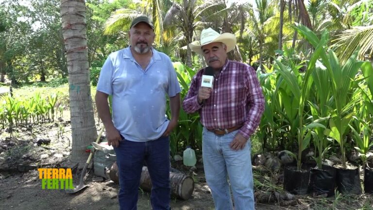 Mejorando la Calidad de Productos para Viveros en la Industria Agr&iacute;cola