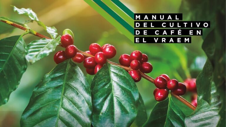 Expertos en Viveros: Asesoramiento T&eacute;cnico Eficaz