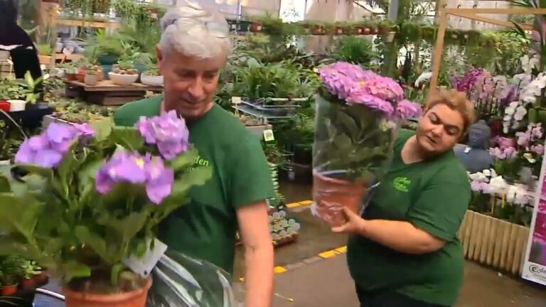 Viveros Especializados en Asesoramiento para Jardiner&iacute;a de Plantas de Interior