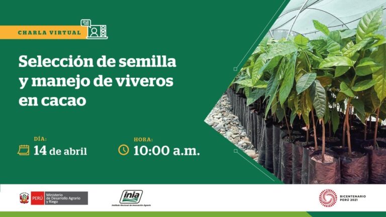 Variedad de Semillas Certificadas para Viveros: Gu&iacute;a Completa