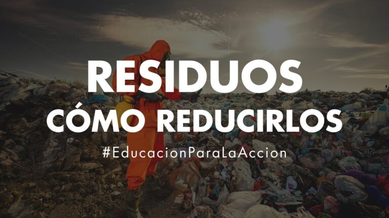 Reciclaje de Equipos: Clave para Reducir el Impacto Ambiental