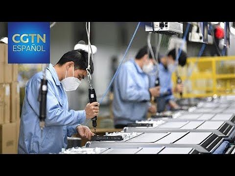 La Crucial Supervisi&oacute;n en la Seguridad Laboral con Gr&uacute;as