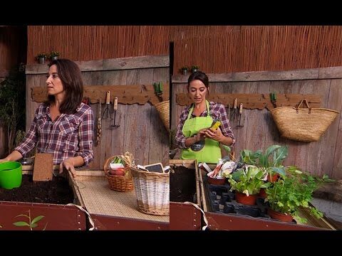 Consejos Clave para Elegir Sustratos en Viveros