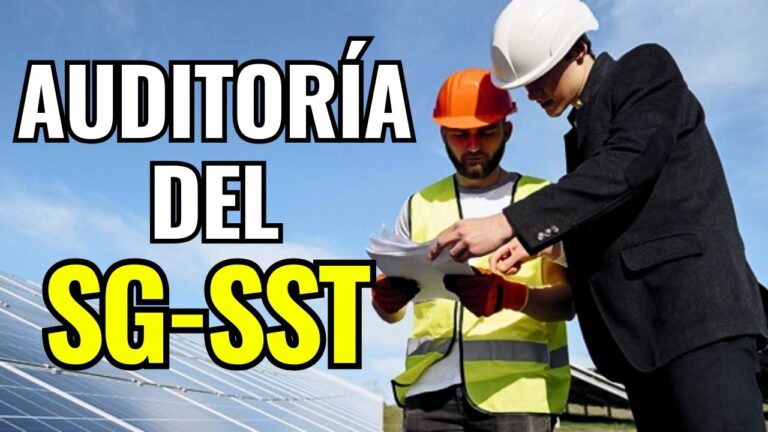 Seguridad Laboral en Grúas: Importancia de las Inspecciones