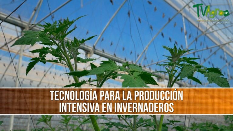 Innovaciones Tecnol&oacute;gicas para Mejorar Viveros
