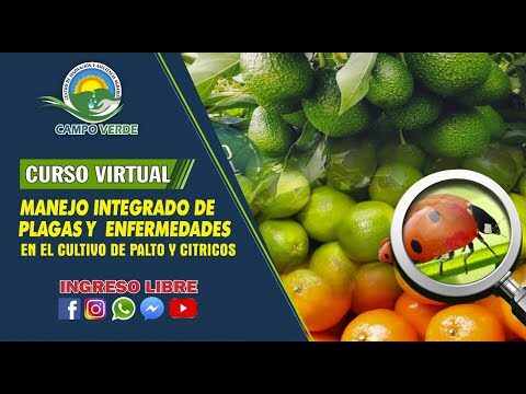 Estrategias Efectivas para el Manejo de Plagas en Viveros Especializados