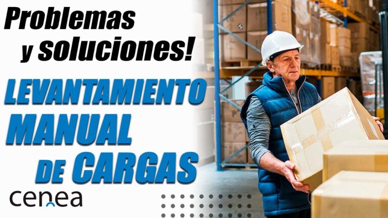 Optimizaci&oacute;n del Manejo de Gr&uacute;as en Almacenes para Cargas