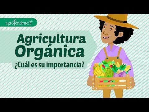 Cultivo Sostenible: Ventajas de las Semillas Org&aacute;nicas