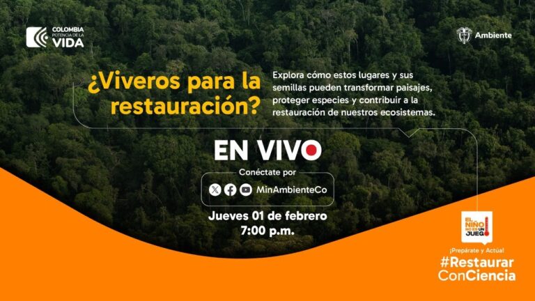 Soluciones Sostenibles para Viveros: Impulsando el Desarrollo Responsable