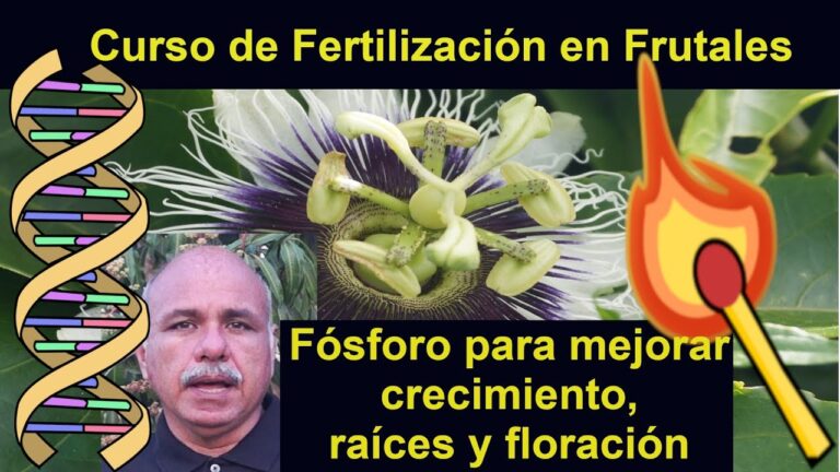 Ventajas de los Fertilizantes L&iacute;quidos en Viveros Industriales