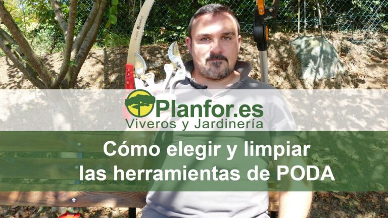 Herramientas Esenciales para la Poda en Viveros