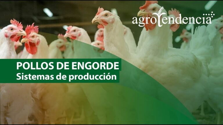 Innovaciones Tecnol&oacute;gicas en el Control de Humedad Industrial