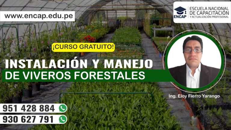 Expertos en Jardiner&iacute;a Profesional para Invernaderos