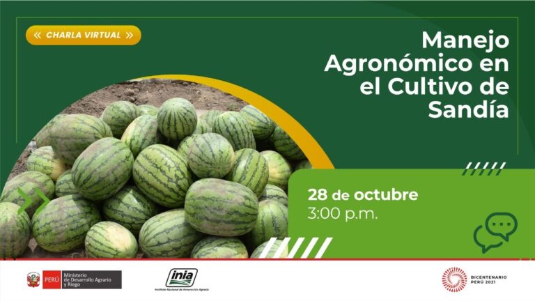 Optimizaci&oacute;n de la Eficiencia en Viveros con Productos Especializados