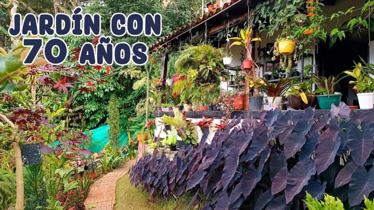 Descubre la Variedad de Plantas Ex&oacute;ticas en Viveros Especializados