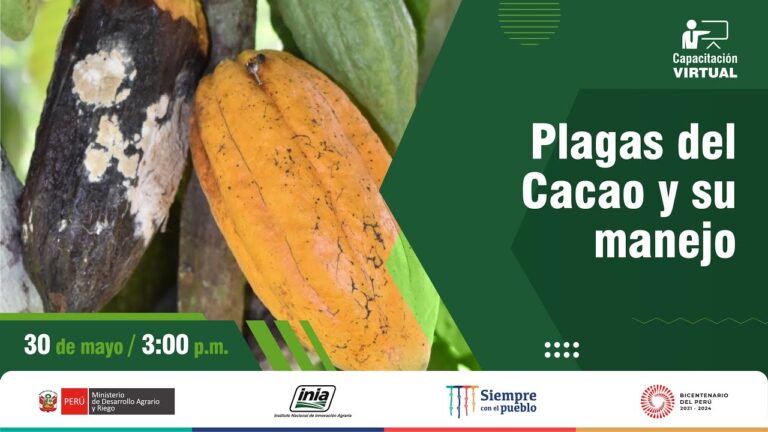 Estrategias Efectivas para Proteger Viveros Industriales de Plagas