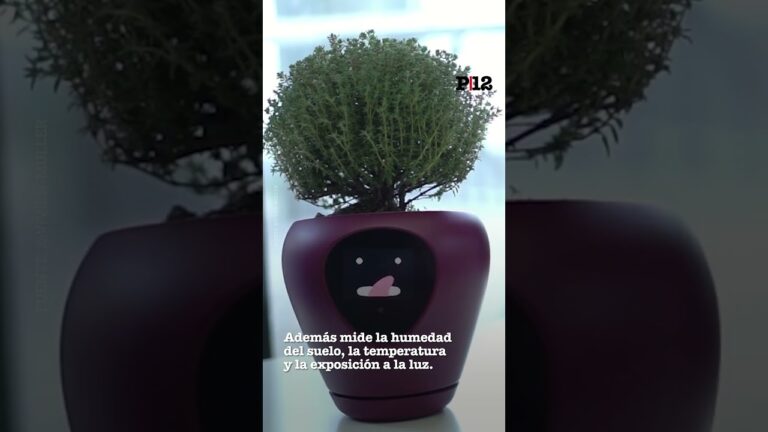 Soluciones Inteligentes para el Cuidado Eficiente de Plantas en Viveros