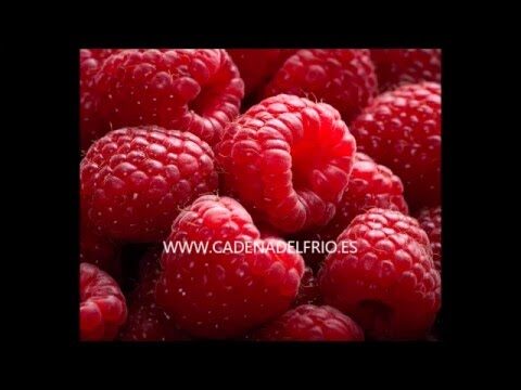 Suministros Especializados para Viveros Industriales: Claves para el &Eacute;xito