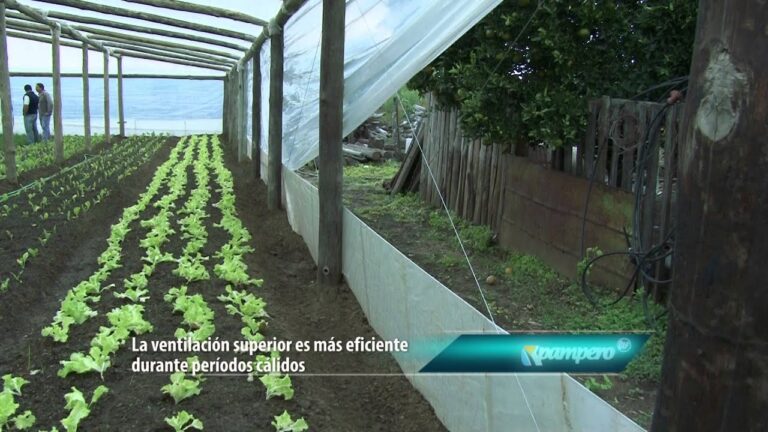 Innovaciones Tecnol&oacute;gicas en Ventilaci&oacute;n para Viveros