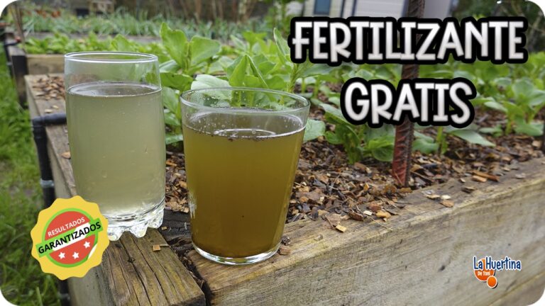 Mejora del Crecimiento de Plantas con Fertilizantes Especiales