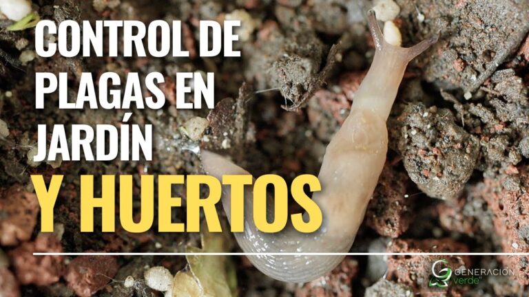 Soluciones Efectivas para el Control de Plagas en Jardinería Profesional