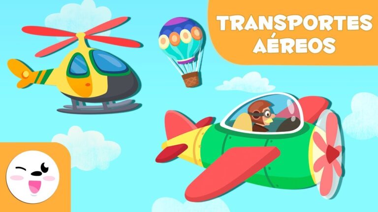 Opciones Efectivas de Transporte A&eacute;reo para Veh&iacute;culos