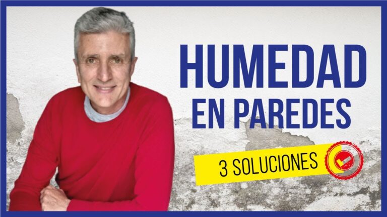 Estrategias Efectivas para Combatir la Humedad en Empresas