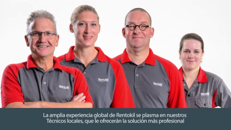 Estrategias Efectivas para Profesionales en Limpieza Industrial y Control de Plagas