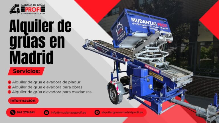 Mantenimiento Eficiente de Gr&uacute;as: Claves para Garantizar su Rendimiento