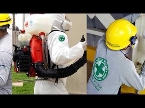 Control de Plagas: Soluciones Efectivas de Empresas de Limpieza Industrial