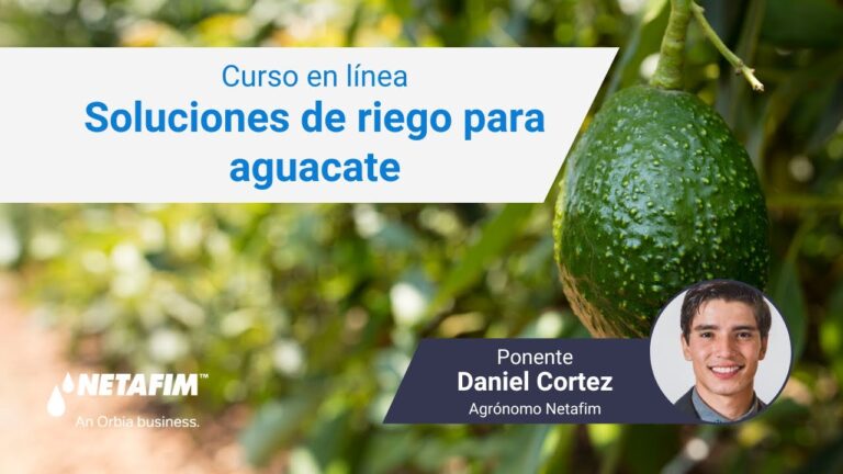 Eficiencia H&iacute;drica en Sistemas de Riego para Viveros