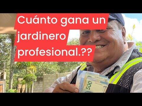 Expertos en Poda para Mantenimiento de Jardines Profesionales