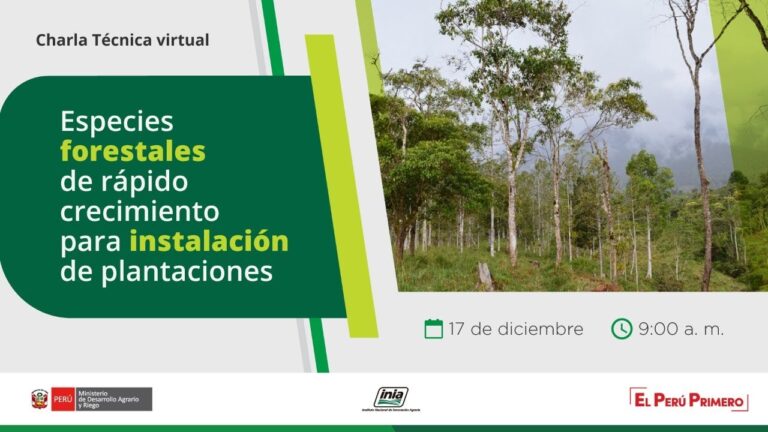 Soluciones Efectivas: Productos de Alto Rendimiento para Viveros Industriales