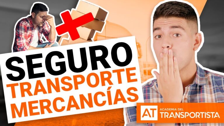 Transporte Seguro de Veh&iacute;culos por Mar: Gu&iacute;a Esencial