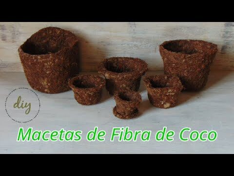 Macetas Ecol&oacute;gicas para Viveros Industriales: Innovaci&oacute;n Sostenible