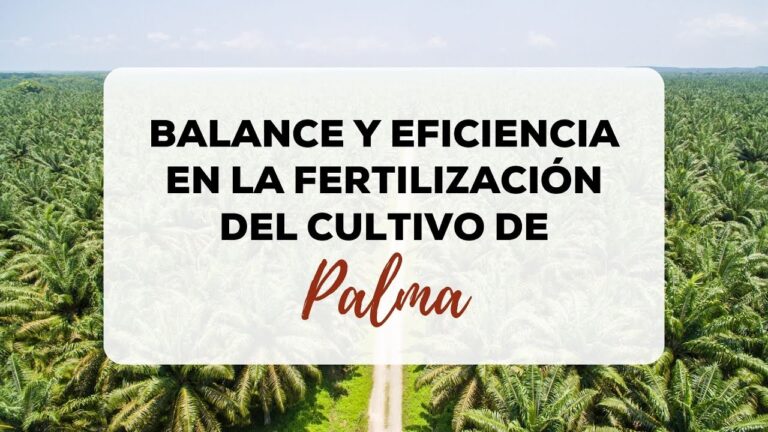 Optimizaci&oacute;n de la Fertilizaci&oacute;n en Viveros de Plantas
