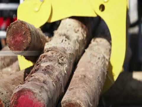 Optimizaci&oacute;n Eficiente de Sistemas de Pesaje en Gr&uacute;as