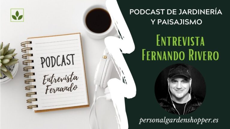 La importancia del mantenimiento en jardiner&iacute;a profesional